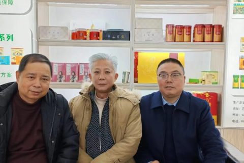 <strong>品牌策划  走向未来</strong>