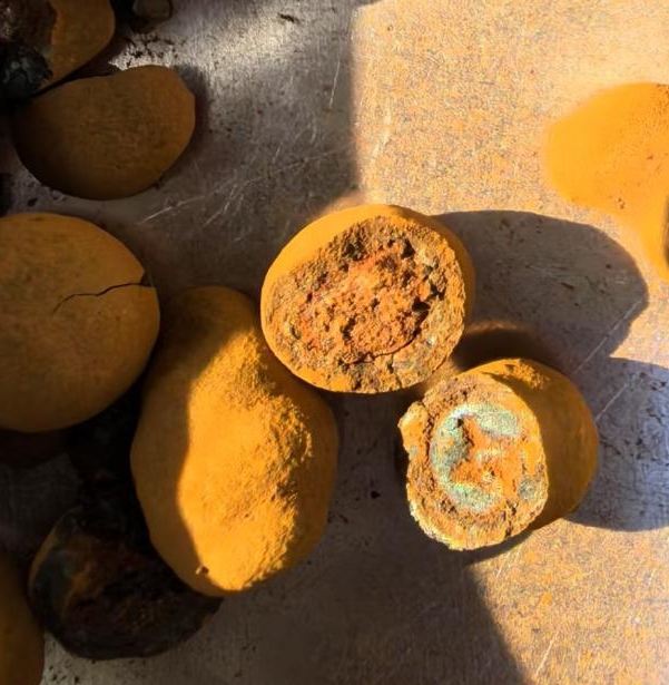 四川神农药业体外培育牛黄得到肯定！