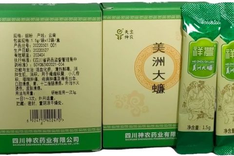 美洲大蠊