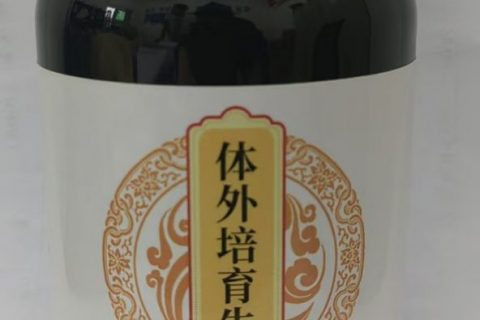 体外培育牛黄—500g