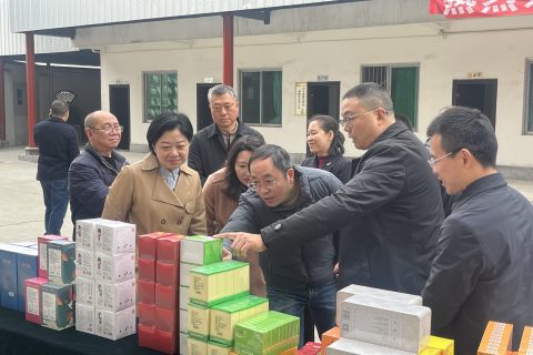 什邡市市委副书记、市长一行莅临公司指导工作
